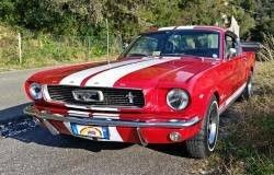 Noleggio Ford Mustang Fastback del 1966 con motore V8 4700 di cilindrata colore rosso (Candy apple red) in Toscana, Liguria, Emilia Romagna, Lombardia