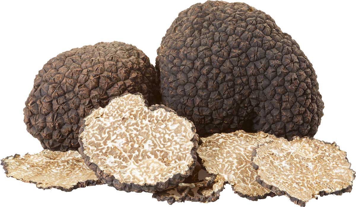 Tour vintage e caccia al Tartufo in Umbria 🌳🍂