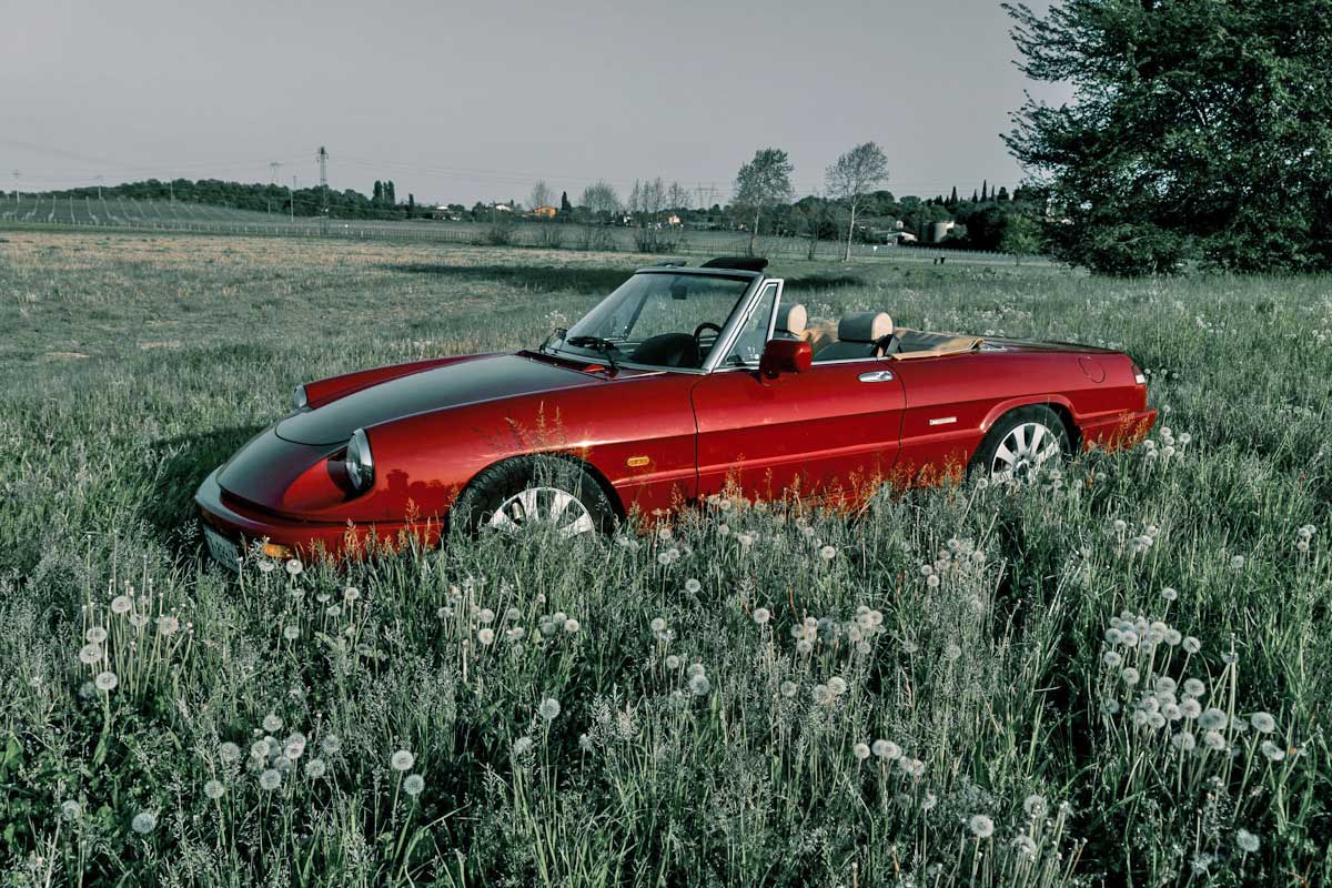 Alfa Romeo Duetto Spider