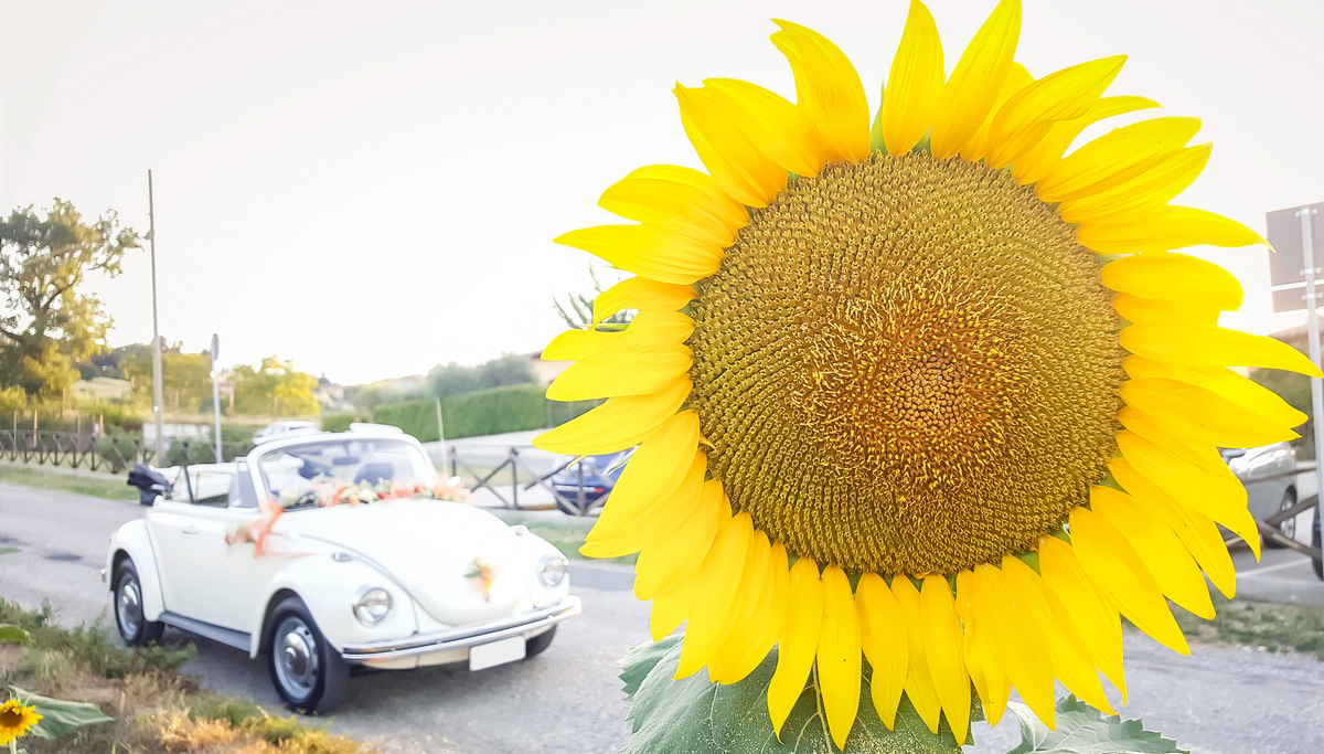 Maggiolino Volkswagen cabriolet bianco