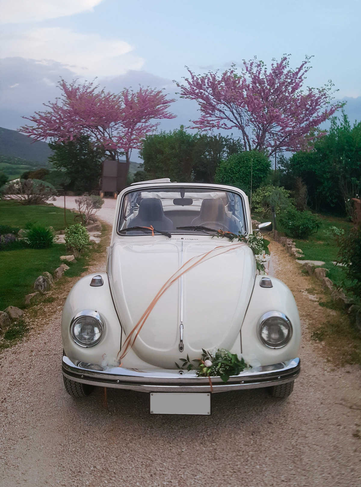 Maggiolone bianco avorio cabrio del 72 sposi
