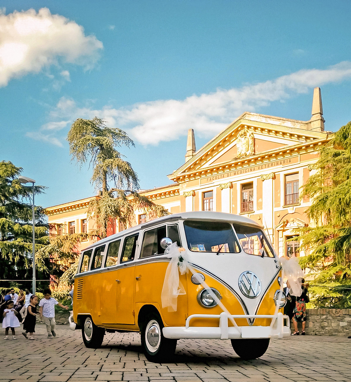 Volkswagen T1 pulmino Transporter, Bus Bulli, Samba giallo ocra